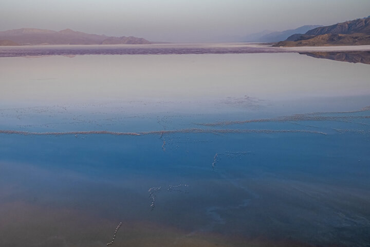 تاکید استاندار فارس بر تدوین طرح جامع گردشگری سروستان