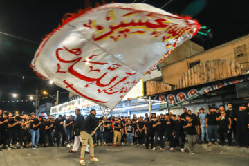 رییس دامپزشکی: ذبح دام در مسیر تردد هیئات مذهبی تربت حیدریه ممنوع است