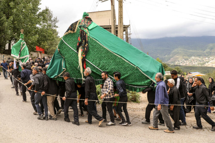 نخل گردانی، آیین دیرینه عزاداری محرم در روستای نوا مازندران