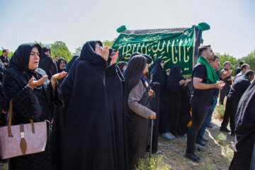 "تعزیه خوانی و نخل گردانی در روستای تیدجان"