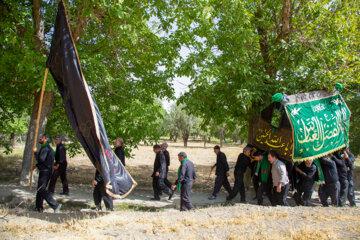 "تعزیه خوانی و نخل گردانی در روستای تیدجان"