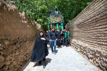 "تعزیه خوانی و نخل گردانی در روستای تیدجان"