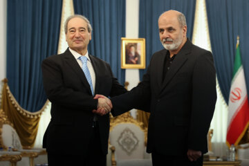 Rencontre entre le ministre syrien des Affaires étrangères et le secrétaire du Conseil suprême de la sécurité nationale d'Iran à Téhéran