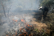 آتش سوزی مراتع روستای زاجکان طارم مهار شد