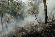 آتش‌سوزی جنگل نیلکوه گالیکش پس از پنج روز مهار شد