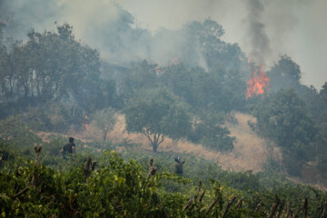 امسال، ۳۰ هکتار از مراتع گچساران در آتش سوخت