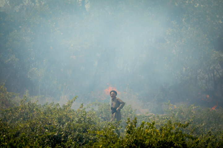 هواشناسی نسبت به آتش‌سوزی در عرصه‌های جنگلی مازندران هشدار داد