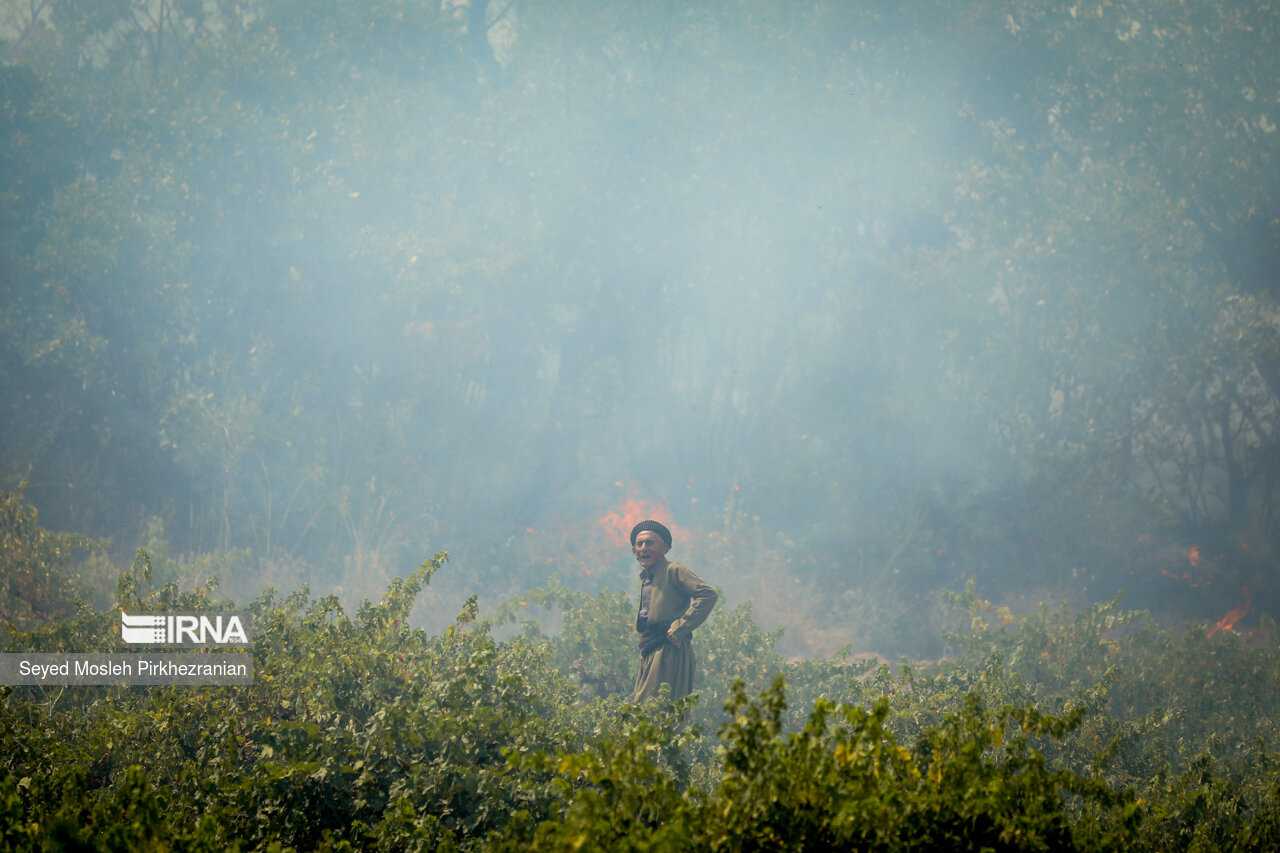 هواشناسی نسبت به آتش‌سوزی در عرصه‌های جنگلی مازندران هشدار داد
