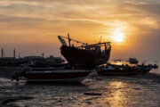 فیلم| چند مجوز قایق و لنج در سواحل مَکُران صادر شد؟