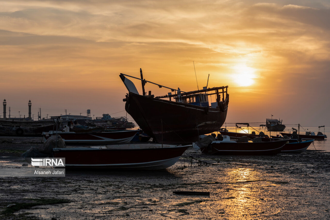 فیلم| چند مجوز قایق و لنج در سواحل مَکُران صادر شد؟