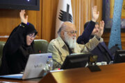 تاکید سخنگوی شورای شهر تهران برحفظ یکپارچگی شورا