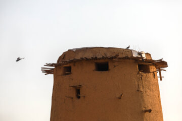 Des pigeonniers d’Arak au centre de l’Iran