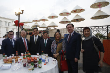 روزهای فرهنگی ویتنام در ایران