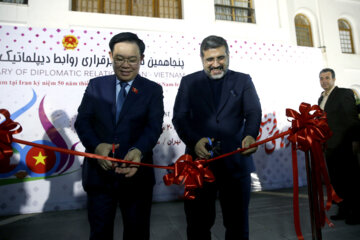 روزهای فرهنگی ویتنام در ایران