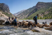 Bakhtiari-Nomaden auf den Sommerweiden