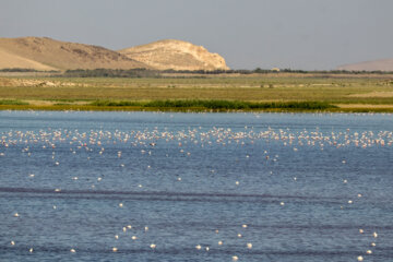 افزایش ۲۶ سانتی‌متری تراز دریاچه ارومیه نسبت به ابتدای سال آبی جاری