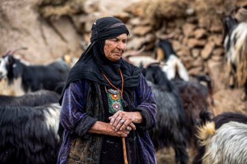 Le nomade iranien Bakhtiari