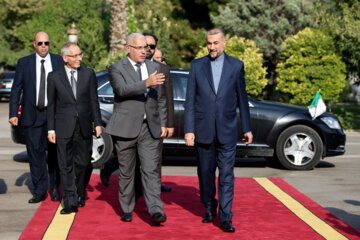 دیدار رییس مجلس الجزایر با وزیر امور خارجه