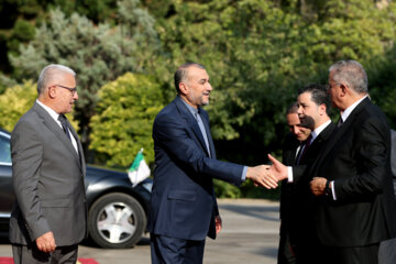 دیدار رییس مجلس الجزایر با وزیر امور خارجه