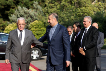 دیدار رییس مجلس الجزایر با وزیر امور خارجه