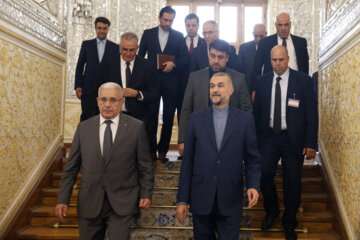 دیدار رییس مجلس الجزایر با وزیر امور خارجه