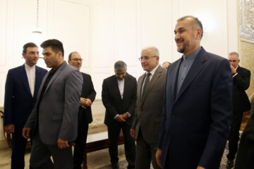 دیدار رییس مجلس الجزایر با وزیر امور خارجه