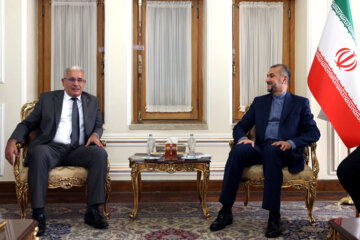 دیدار رییس مجلس الجزایر با وزیر امور خارجه