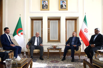 دیدار رییس مجلس الجزایر با وزیر امور خارجه