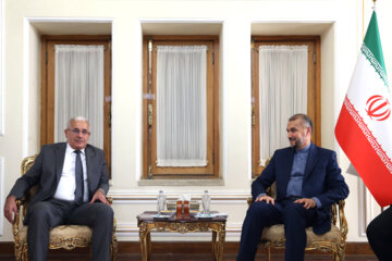 دیدار رییس مجلس الجزایر با وزیر امور خارجه