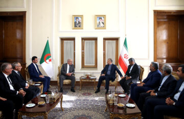 دیدار رییس مجلس الجزایر با وزیر امور خارجه