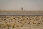 خشکسالی عامل اصلی تشدید پدیده گرد و غبار در خراسان رضوی است