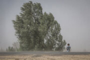 وزش باد شدید در منطقه سیستان همچنان تداوم دارد