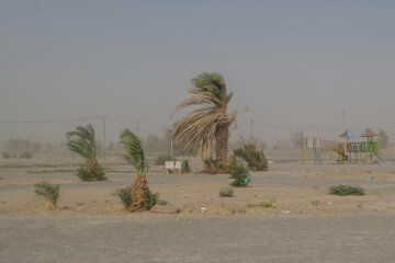بادهای شمالی و گرد و خاک در مناطق مستعد بوشهر تداوم دارد