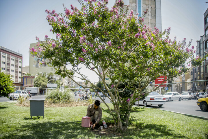 باران پنجشنبه در تهران میبارد؛ وقوع گرد و خاک و وزش باد شدید