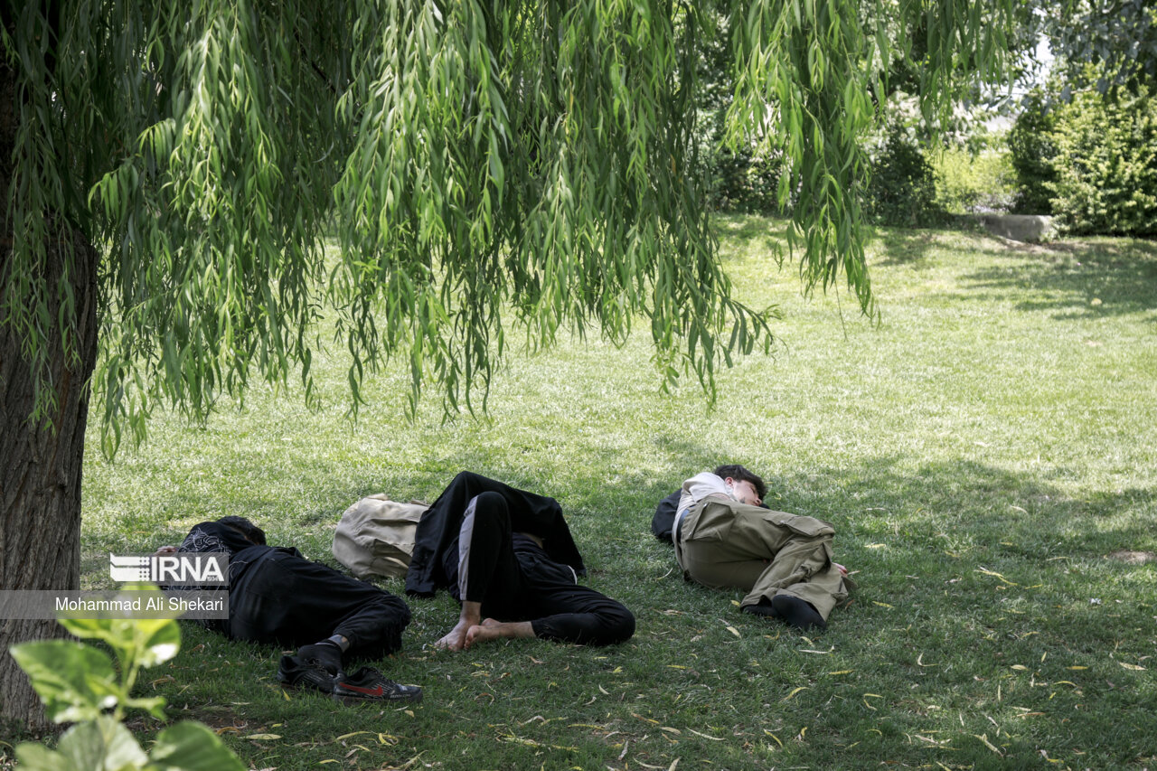 دمای زنجان افزایش می‌یابد