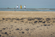 آلودگی نفتی در ساحل بندر گناوه