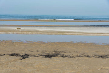 آلودگی نفتی در ساحل بندر گناوه