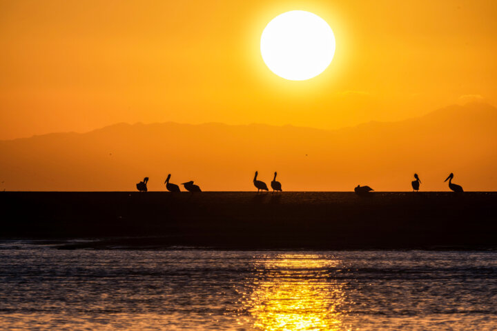 تشنه در کنار دریا؛ هرمزگان به دنبال آبِ گوارا