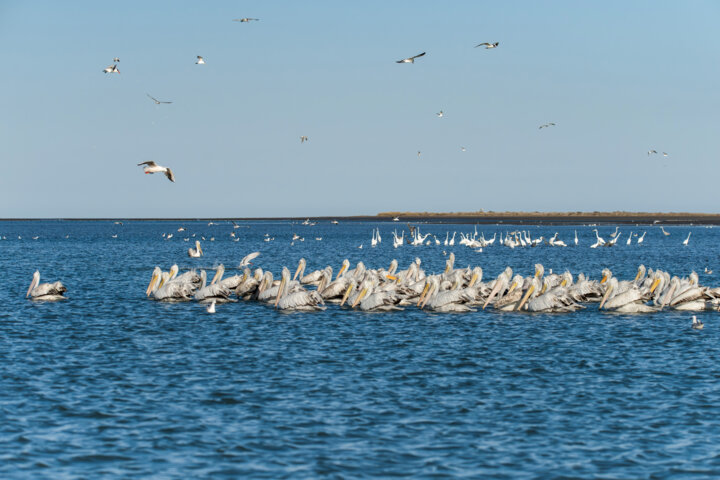 سیریک؛ نگینی پنهان در نوار ساحلی مَکُران