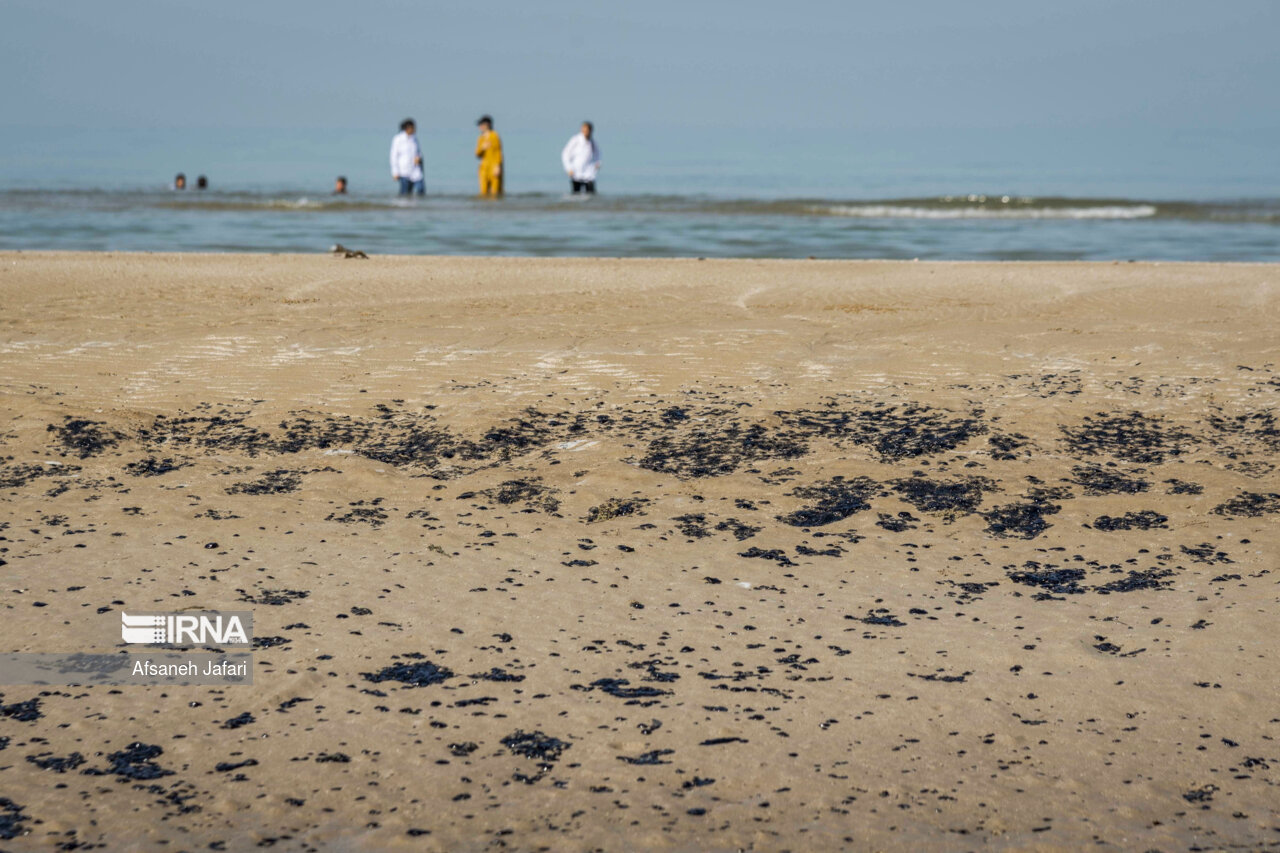 رئیس حفاظت محیط زیست گناوه: مردم هرگونه آلودگی نفتی را در ساحل اطلاع دهند