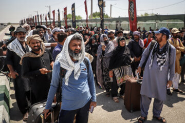 Peregrinos extranjeros cruzan frontera de Chazabe para asistir al rito de Arbaín