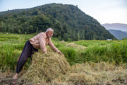 استاندار مازندران: مطالبات کشاورزان تنها از طریق اتاق اصناف کشاورزی شنیده می شود