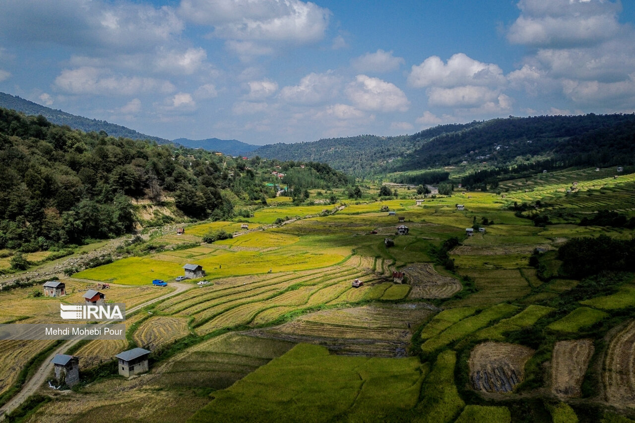 استاندار:کشاورزی مازندران در مسیر تحول توسعه‌ای قرار گرفته است