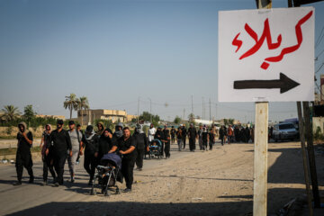 Marcha de Arbaín en Tuwairij y Al-Dasmiyah en Iraq 