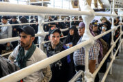 عراق: تاکنون ۲ میلیون نفر از زائران اربعین از عراق خارج شدند