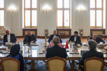 La reunión de los ministros de Asuntos Exteriores de Irán y Turquía en Teherán 
