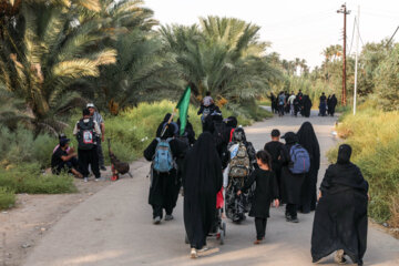 Le pèlerinage d'Arbaeen via le chemin «Tarigh al-Ulama»