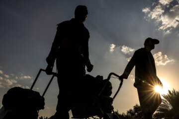 Le pèlerinage d'Arbaeen via le chemin «Tarigh al-Ulama»