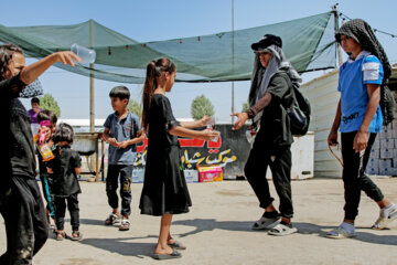 Niños sirven a los peregrinos de Karbala 