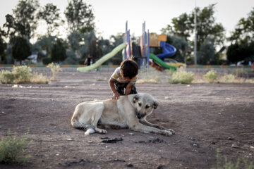 بازی های تابستانی کودکان